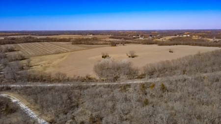 Land for Sale in Pleasant Hill, MO - image 33