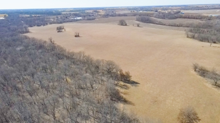 Land for Sale in Pleasant Hill, MO - image 17