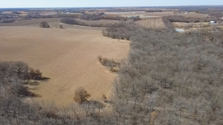 Land for Sale in Pleasant Hill, MO - image 16