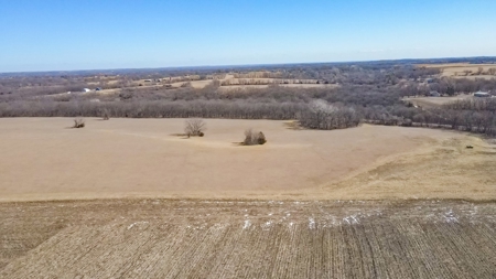 Land for Sale in Pleasant Hill, MO - image 3
