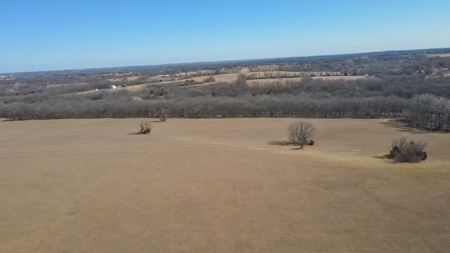 Land for Sale in Pleasant Hill, MO - image 4
