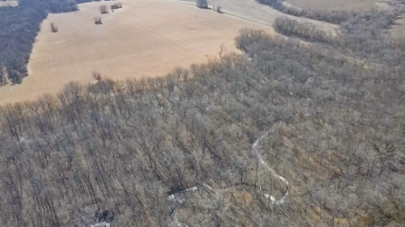 Land for Sale in Pleasant Hill, MO - image 11