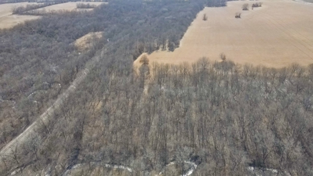 Land for Sale in Pleasant Hill, MO - image 12