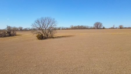 Land for Sale in Pleasant Hill, MO - image 26