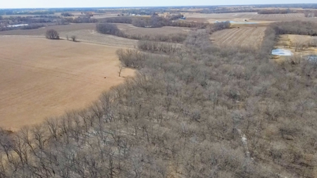 Land for Sale in Pleasant Hill, MO - image 13