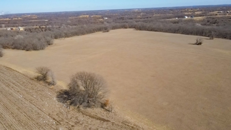 Land for Sale in Pleasant Hill, MO - image 5