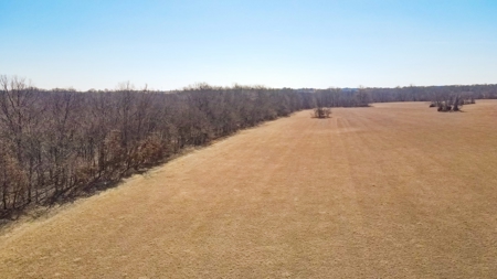 Land for Sale in Pleasant Hill, MO - image 20