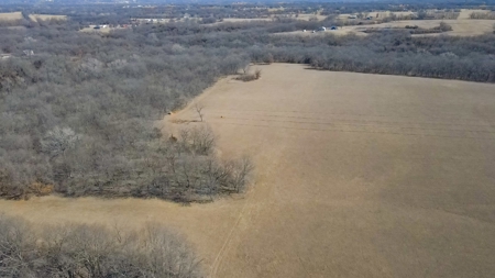 Land for Sale in Pleasant Hill, MO - image 6