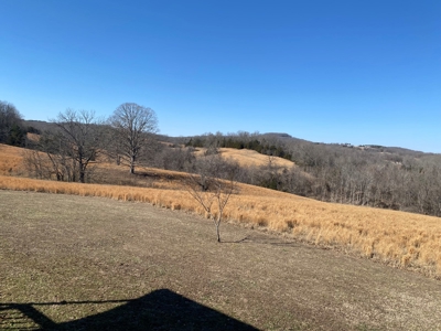 Farm /Hunting Property with Cabin and views - image 13