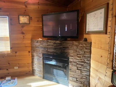 Farm /Hunting Property with Cabin and views - image 6