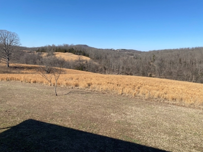 Farm /Hunting Property with Cabin and views - image 11