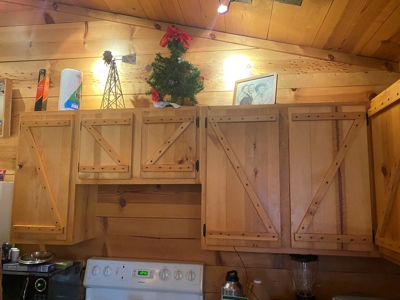 Farm /Hunting Property with Cabin and views - image 4