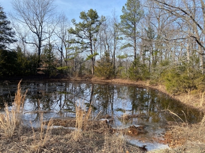 Hunting and Farming Property in Stone County - image 11