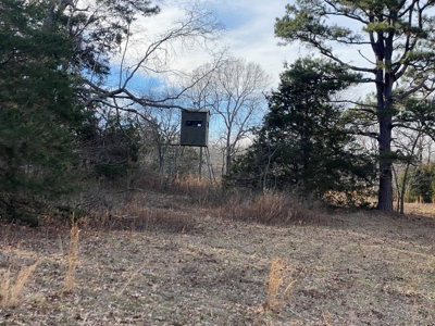Hunting and Farming Property in Stone County - image 9
