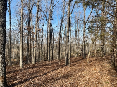 Hunting and Farming Property in Stone County - image 8