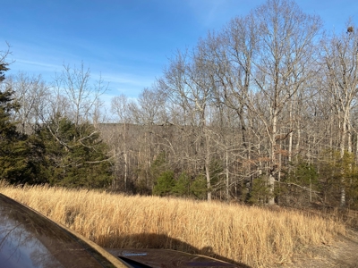 Hunting and Farming Property in Stone County - image 5