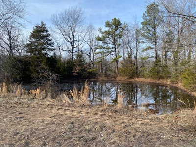 Hunting and Farming Property in Stone County - image 10