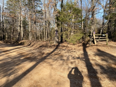 Hunting and Farming Property in Stone County - image 15