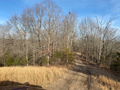 Hunting and Farming Property in Stone County - image 4