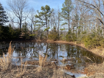 Hunting and Farming Property in Stone County - image 12