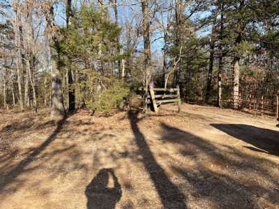 Hunting and Farming Property in Stone County - image 14