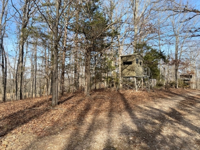 Hunting and Farming Property in Stone County - image 7