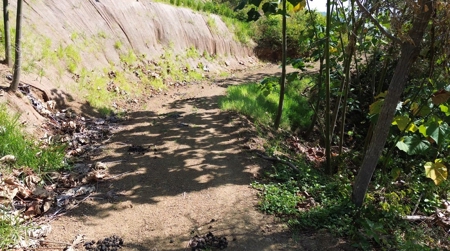Los Balsos Residences in Playa Venao  Lote #2 - image 3