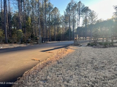 Lot 11 Springwood Trail  Madison County, MS - image 5