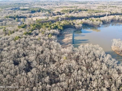 Lot 11 Springwood Trail  Madison County, MS - image 36