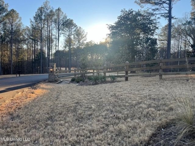 Lot 11 Springwood Trail  Madison County, MS - image 2