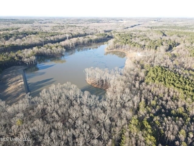 Lot 11 Springwood Trail  Madison County, MS - image 37
