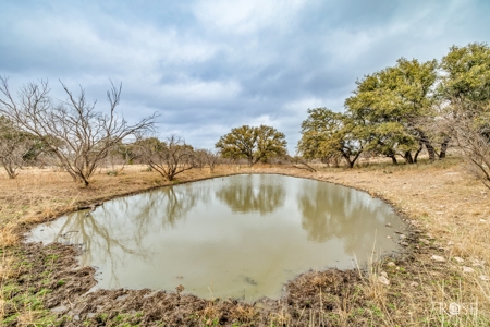 Scenic 157+ Acre Ranch in Sutton County – Prime Hunting - image 17