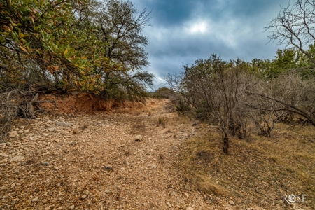 Scenic 157+ Acre Ranch in Sutton County – Prime Hunting - image 40