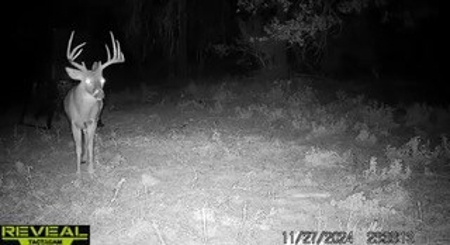 Scenic 157+ Acre Ranch in Sutton County – Prime Hunting - image 45