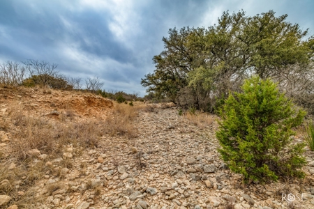 Scenic 157+ Acre Ranch in Sutton County – Prime Hunting - image 42
