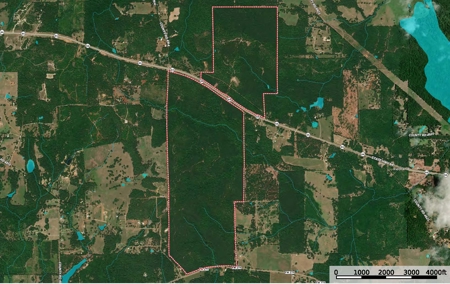 East TX Timber Hunting Land for Sale Ben Wheeler TX Van Zandt Co - image 36