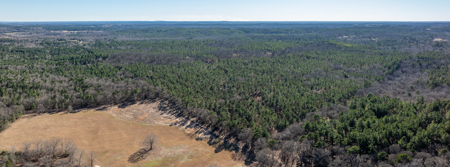 East TX Timber & Hunting Land for Sale Ben Wheeler TX in Van Zandt County - image 24