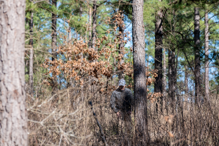 East TX Timber & Hunting Land for Sale Ben Wheeler TX in Van Zandt County - image 17