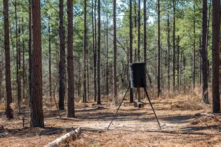 East TX Timber & Hunting Land for Sale Ben Wheeler TX in Van Zandt County - image 18