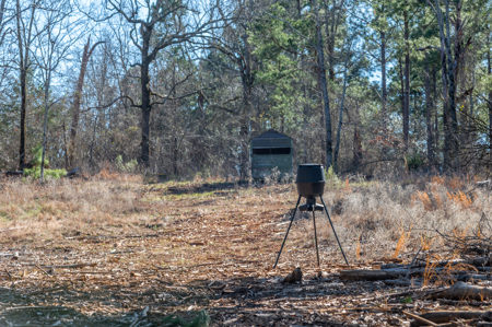 East TX Timber & Hunting Land for Sale Ben Wheeler TX in Van Zandt County - image 4