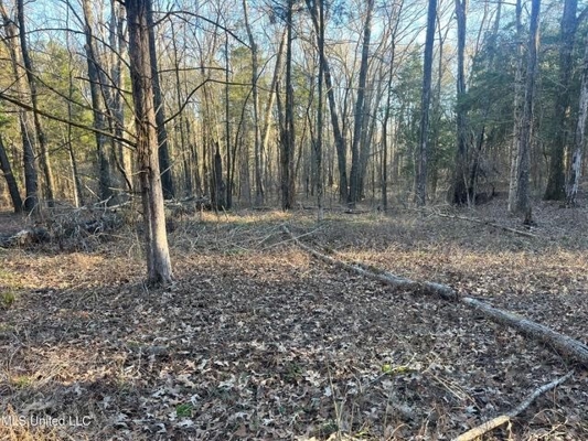 Lot 12 Springwood Trail  Madison County, MS