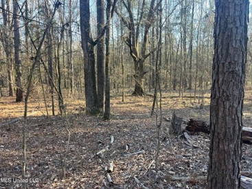 Listing 107