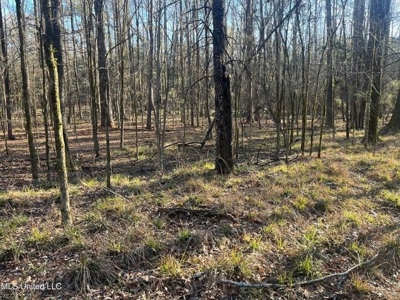 Lot 12 Springwood Trail  Madison County, MS - image 22