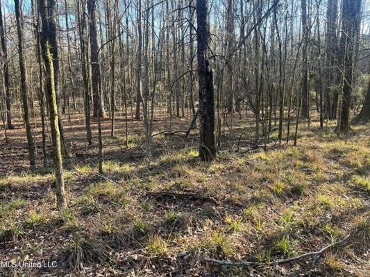 Lot 12 Springwood Trail  Madison County, MS