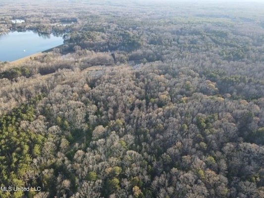Lot 12 Springwood Trail  Madison County, MS