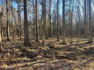 Listing 107