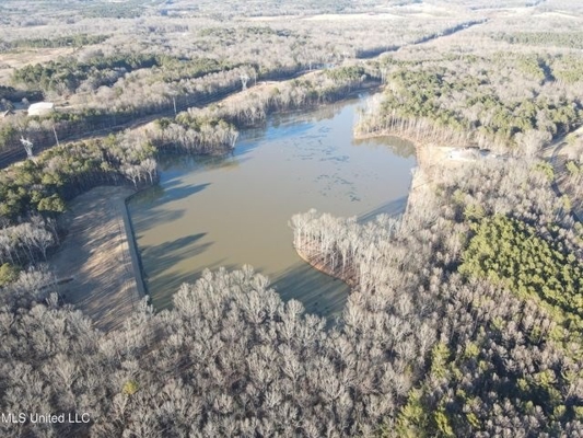 Lot 12 Springwood Trail  Madison County, MS