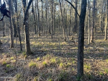 Listing 107