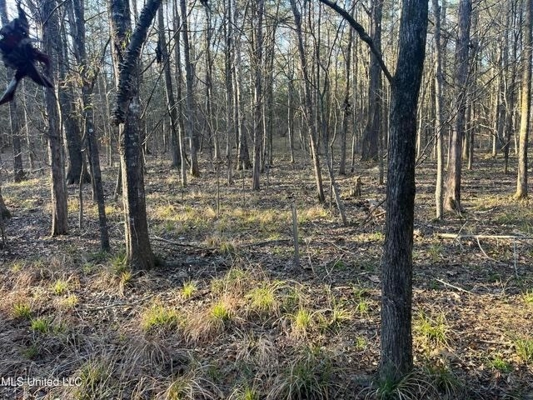 Lot 12 Springwood Trail  Madison County, MS