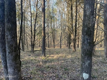 Listing 107